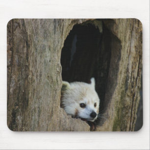 Mousepad Panda vermelha