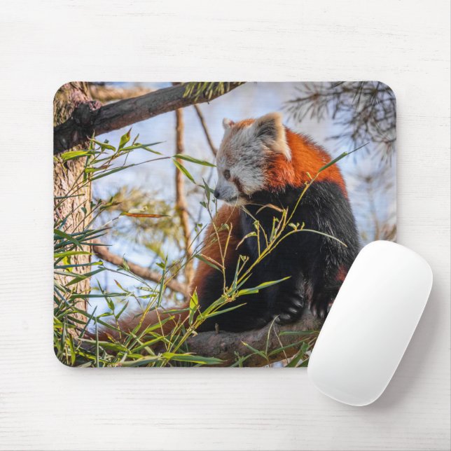 Mousepad Panda vermelha (Com mouse)