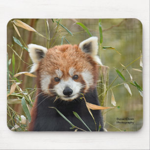 Mousepad Panda Vermelha