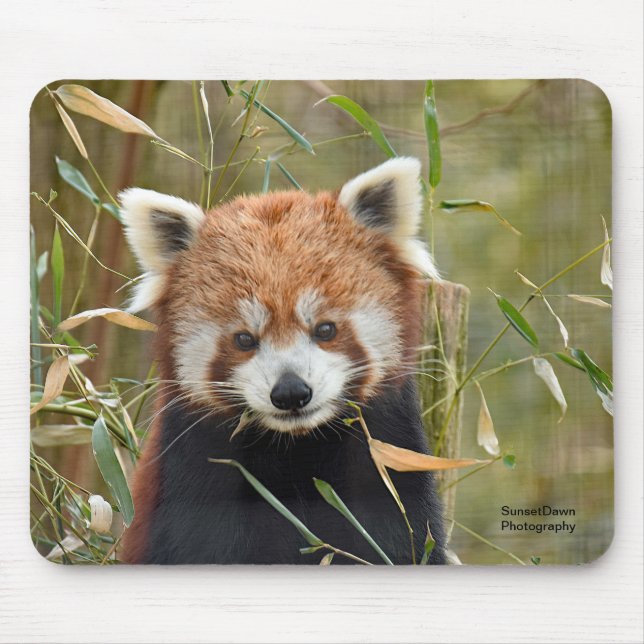 Mousepad Panda Vermelha (Frente)