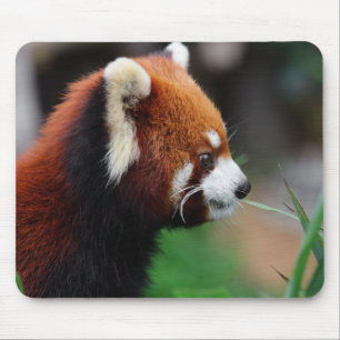 Mousepad Panda vermelha