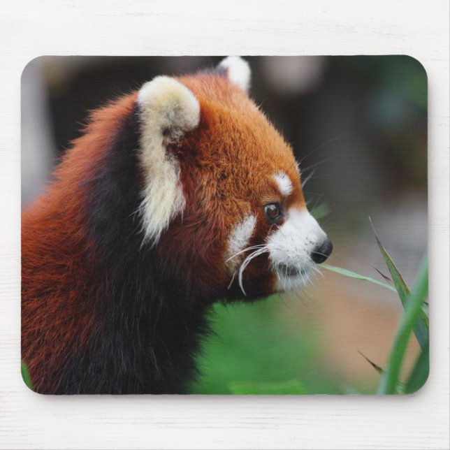 Mousepad Panda vermelha (Frente)
