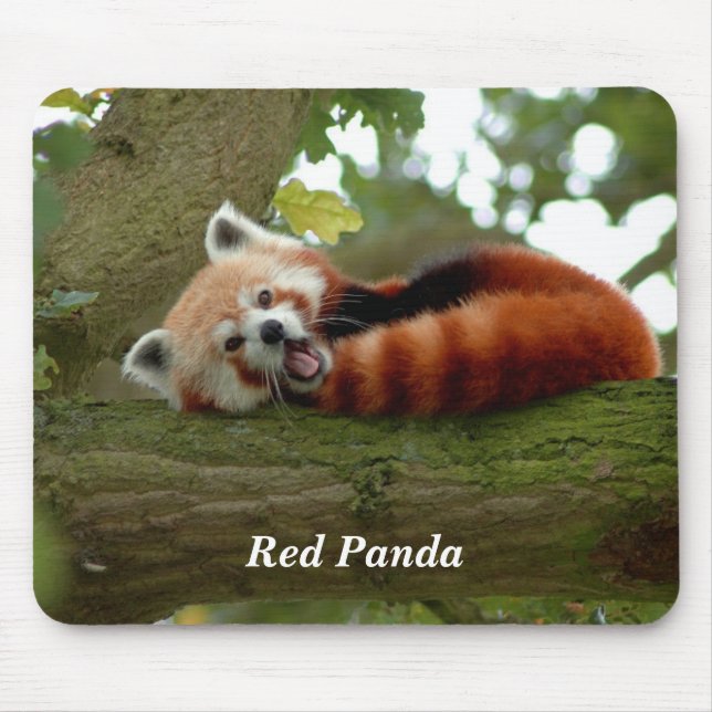 Mousepad Panda Vermelha descansando (Frente)