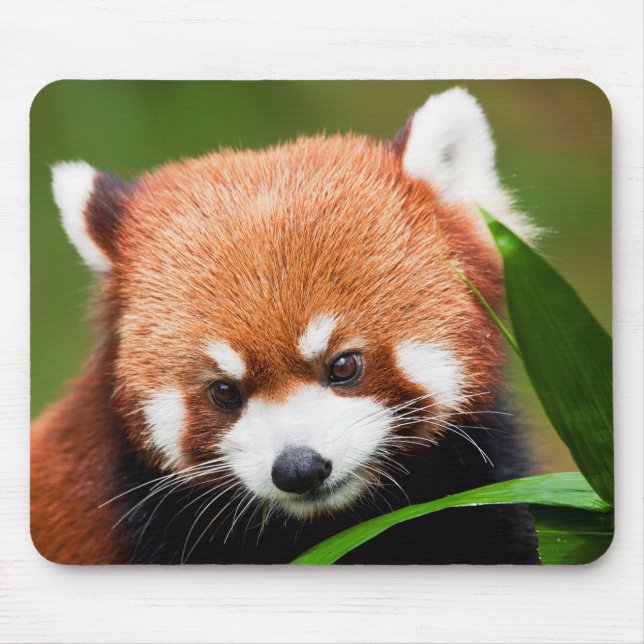 Mousepad Panda Vermelho Fofo (Frente)