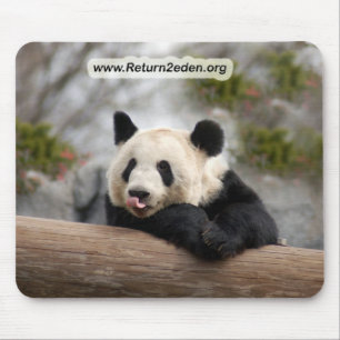 Mousepad PandaM021