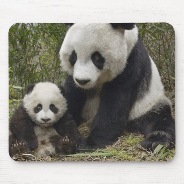 Mousepad pandas (Frente)