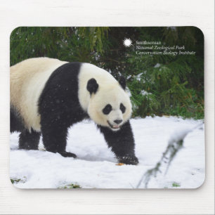 Mousepad Pandas gigantes de Smithsonian   na neve