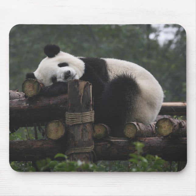 Mousepad Pandas gigantes na Proteção contra Panda Gigante (Frente)