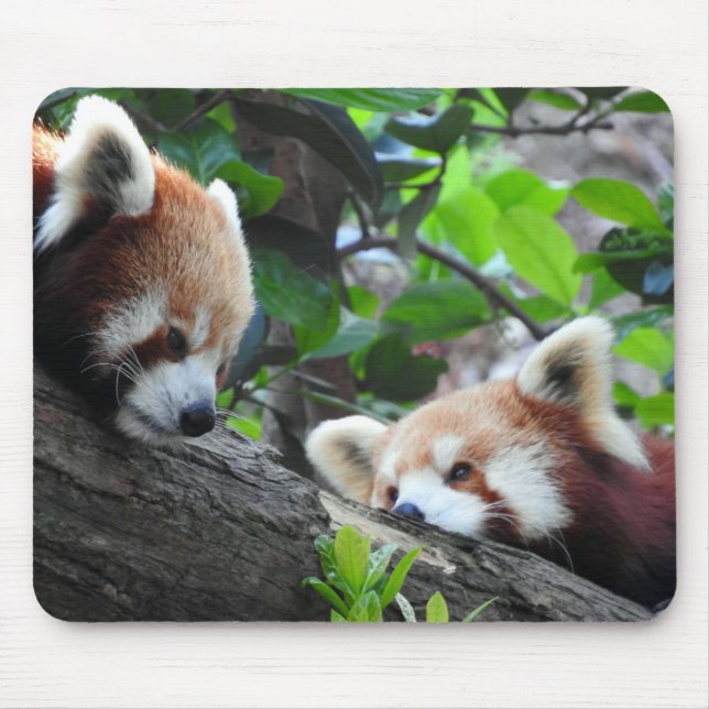 Mousepad Pandas Vermelhas (Frente)