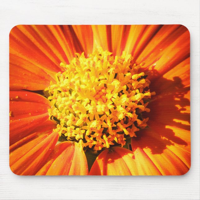 Mousepad Pano de Rato de Foto Macro de Flor Laranja Radiant (Frente)