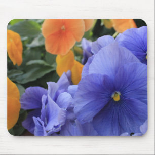 Mousepad Pansies roxos & alaranjados com a foto floral