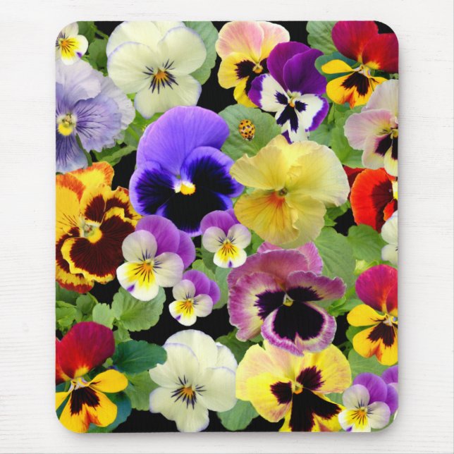MOUSEPAD PANSY DELIGHT (Frente)