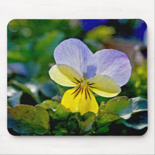 Mousepad Pansy Perfection