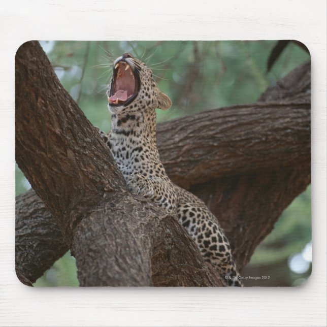 Mousepad Pantera (Frente)