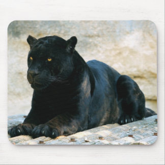 Mousepad Pantera preta