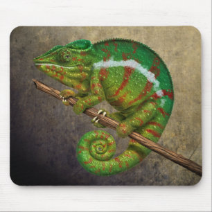 Mousepad Panther Chameleon Digital Painting
