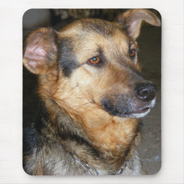 Mousepad Pão de cão (Frente)