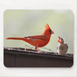 Mousepad Papá e bebê Cardinal 1