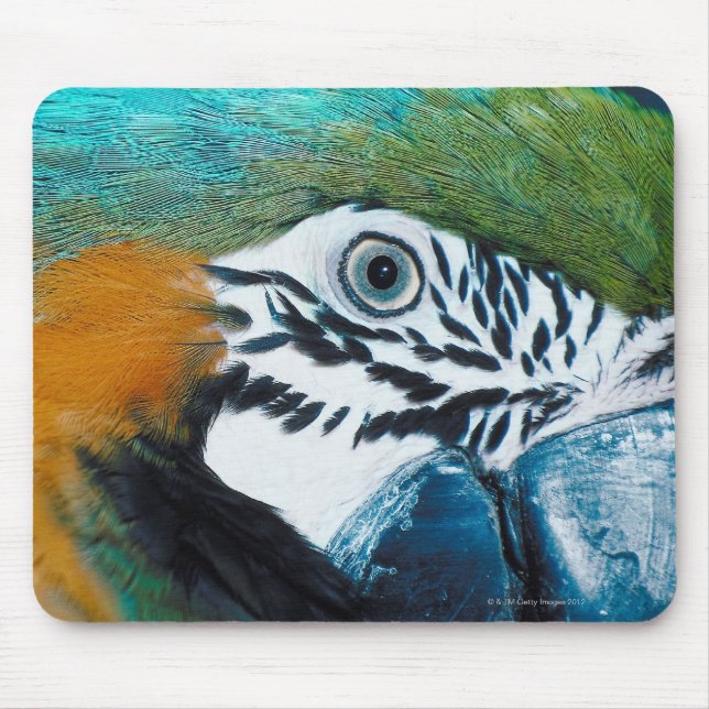 Mousepad Papagaio Azul (Frente)