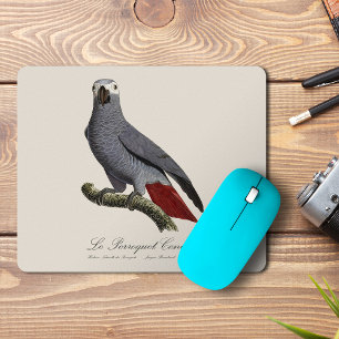 Mousepad Papagaio cinzento africano, Psittacus erithacus, v