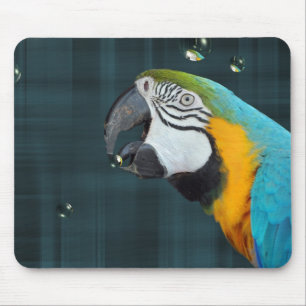 Mousepad Papagaio com bolhas