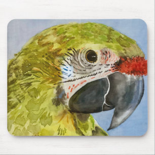Mousepad Papagaio de papagaio