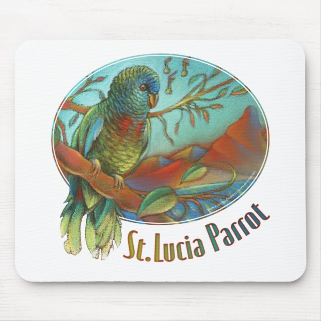Mousepad Papagaio de St Lucia (Frente)