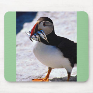 Mousepad Papagaio-do-mar