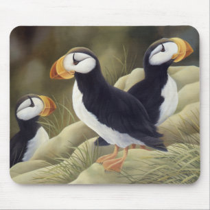 Mousepad Papagaio-do-mar