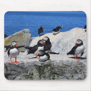 Mousepad Papagaio-do-mar atlânticos na ilha do selo de