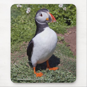 Mousepad Papagaio-do-mar Mousemat
