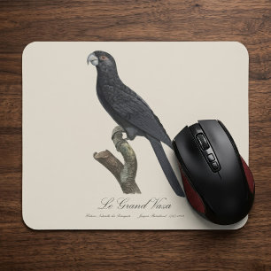 Mousepad Papagaio-do-vasa-maior, Coracopsis Vasa Ilustração