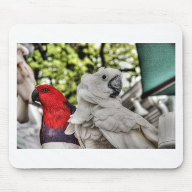 Mousepad Papagaio e Cockatoo (Frente)