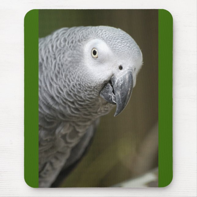 Mousepad papagaio fofo (Frente)