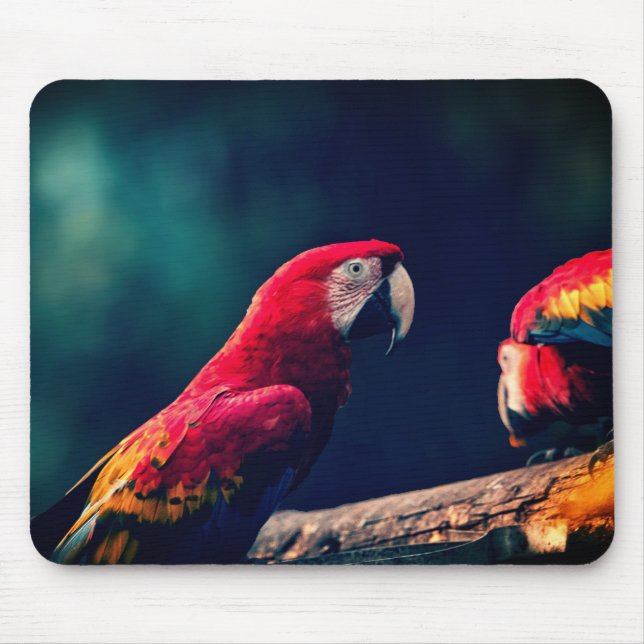 Mousepad papagaio, pássaro, arara (Frente)