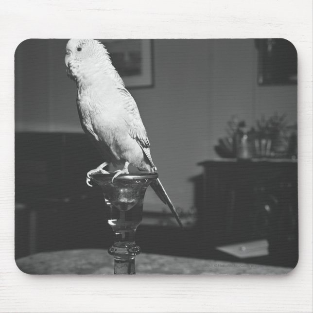 Mousepad Papagaio que senta-se no castiçal B&W (Frente)