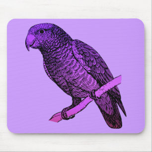 Mousepad Papagaio roxo