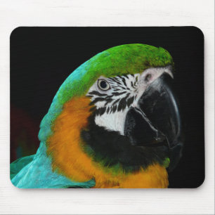 Mousepad Papagaio Verde Colorido