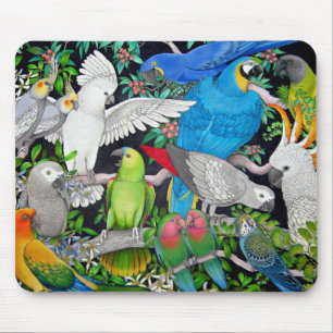 Mousepad Papagaios do mundo