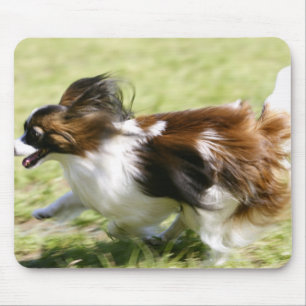Mousepad Papillon de funcionamento