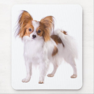 Mousepad Papillon Filhote Mamãe Cão Cachorro Cachorro Cac