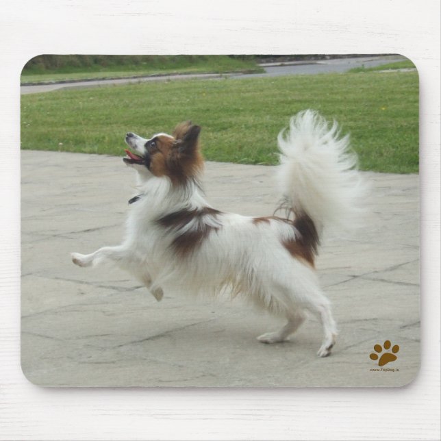 Mousepad Papillon Jumping (Frente)