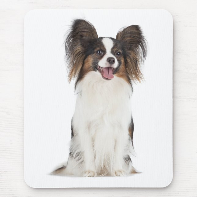 Mousepad Papillon Puppy Mãe Cachorro Cachorro Cachorro Cach (Frente)