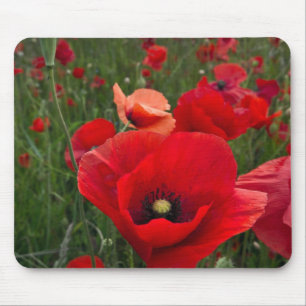Mousepad Papo de rato de campo