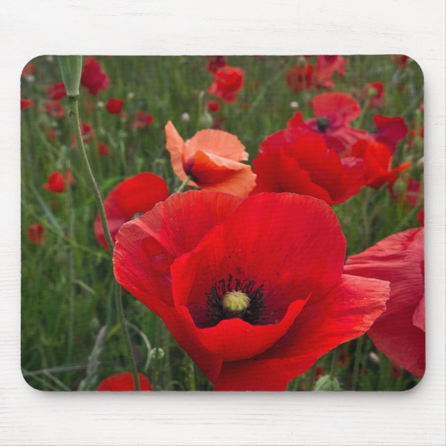 Mousepad Papo de rato de campo (Frente)