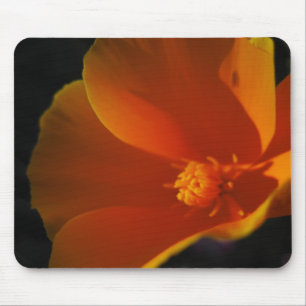 Mousepad papoila