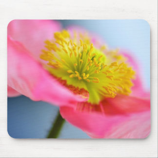 Mousepad Papoila cor-de-rosa