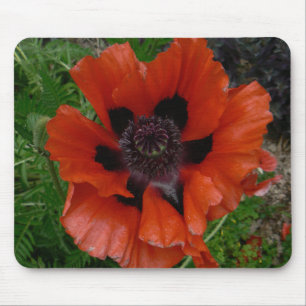 Mousepad papoila oriental