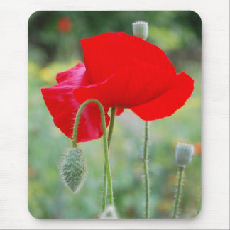 Mousepad papoila vermelha