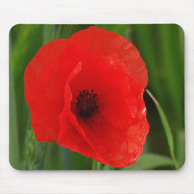 Mousepad Papoila vermelha (Frente)